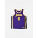 LOS ANGELES LAKERS JAMES 6 JORDAN NBA JERSEY 2XL